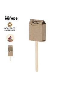 Piruleta Semillas Ebeldy 2