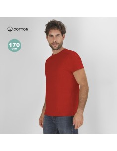 Camiseta Adulto Color Stiles 2