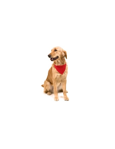 Collar Bandana Roco