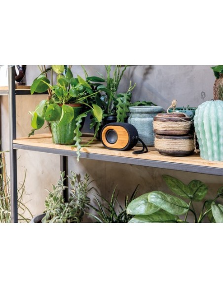 Altavoz Bamboo X
