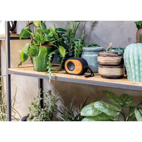 Altavoz Bamboo X