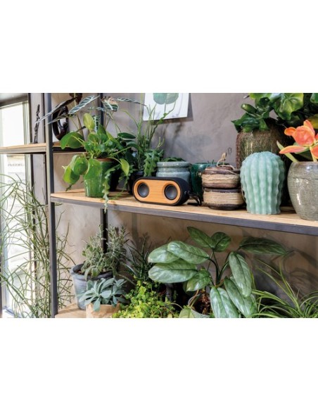 Altavoz doble Bamboo X