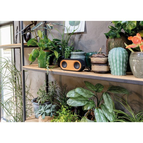 Altavoz doble Bamboo X