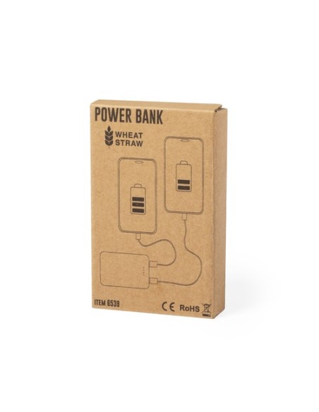 Power Bank Shiden