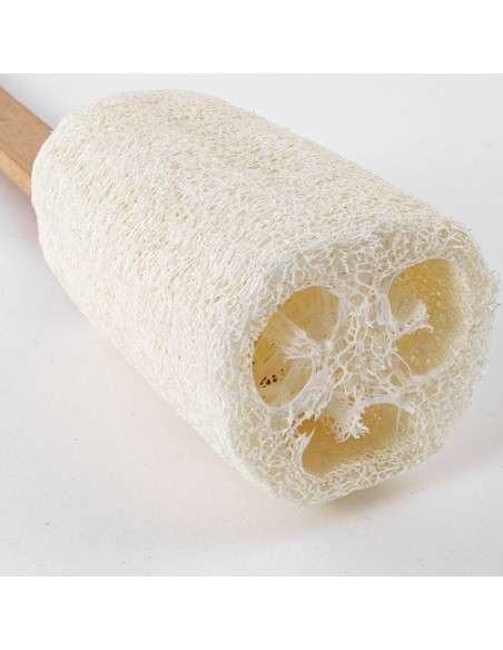 ESPONJA LOOFAH
