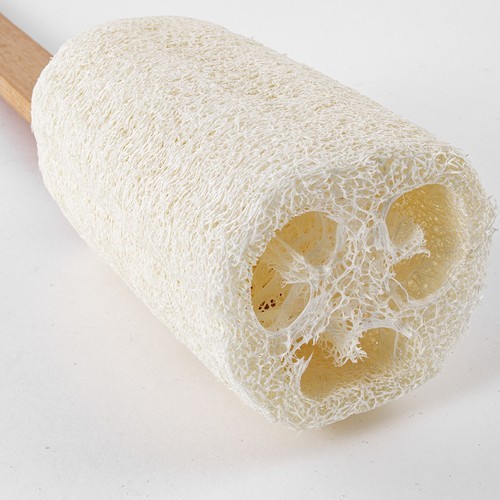 ESPONJA LOOFAH