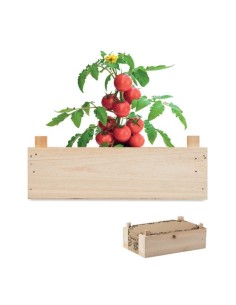 TOMATO Minihuerto tomates en caja