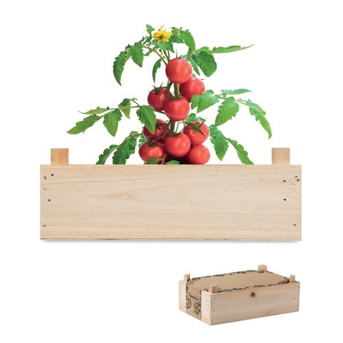TOMATO Minihuerto tomates en caja