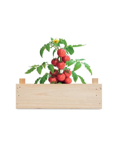 TOMATO Minihuerto tomates en caja