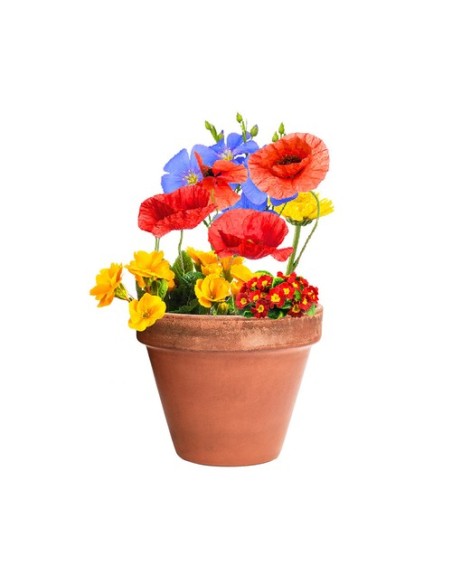 Bombón Semillas Mussox