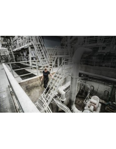 Camiseta cuello redondo mujer