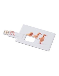MEMORAMA Creditcard USB flash 32GB