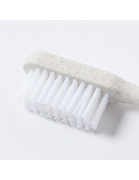 Cepillo Dientes Duncan