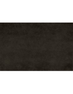 Mantel desechable individual BREAKFAST