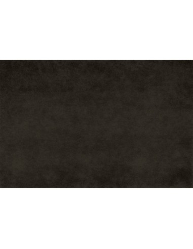 Mantel desechable individual BREAKFAST