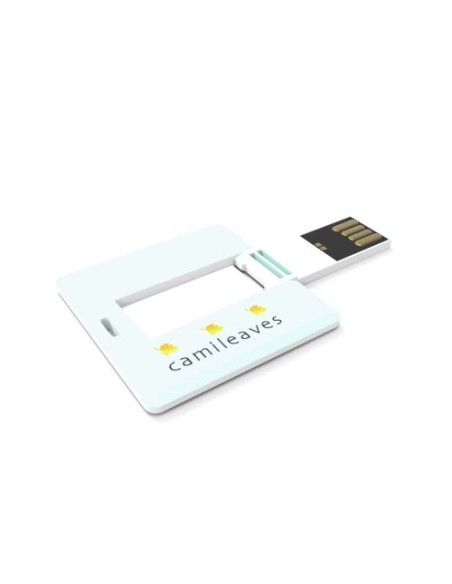 USB Stick Square Card 2 GB Premium