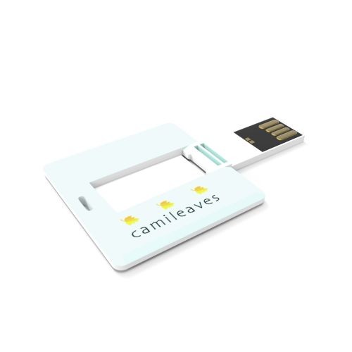 USB Stick Square Card 2 GB Premium