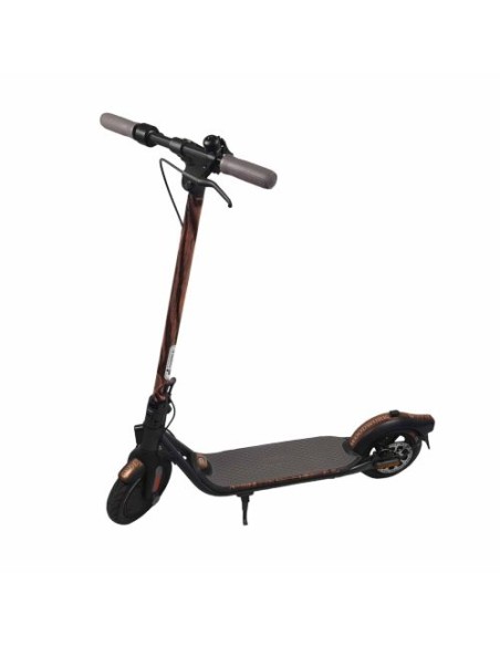 Segway Ninebot KickScooter F25E II