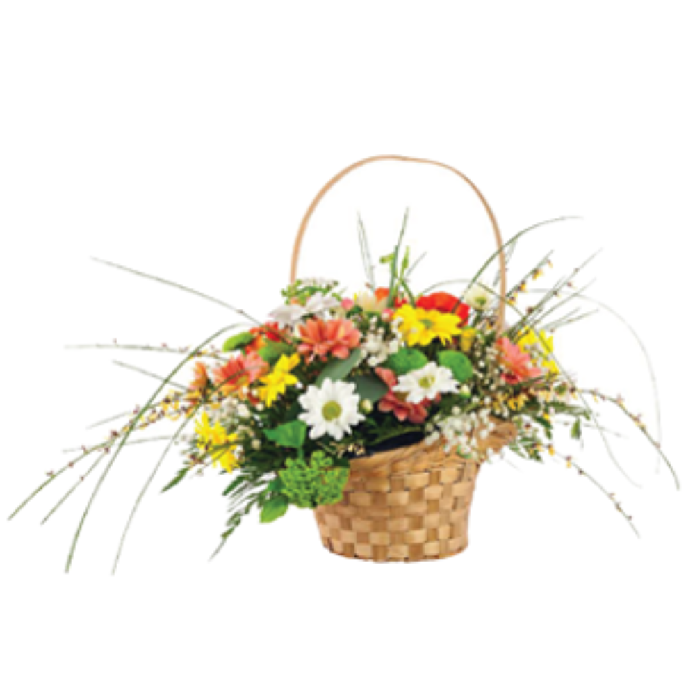 Centros de flores - F220