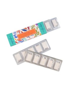 CHEWINGGUMS EN BLISTER 10 piezas