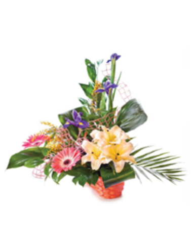 Centros de flores - F230