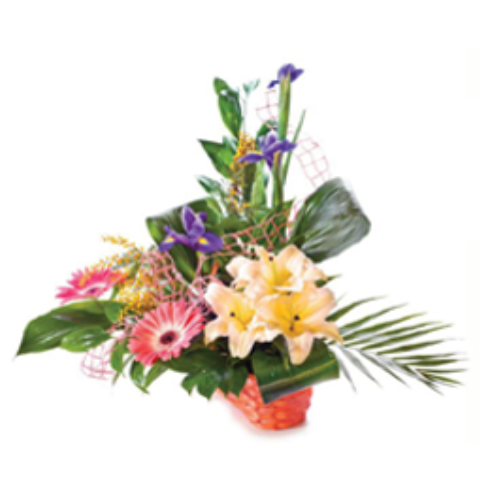 Centros de flores - F230