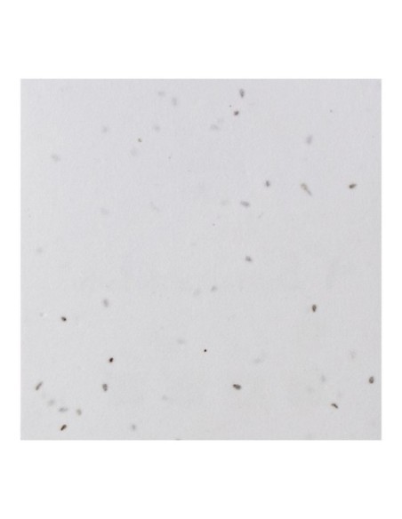 POSAVASOS GERMINA 200GR 2 CARAS 100 FSC