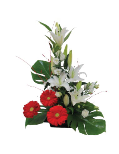 Centros de flores - F250