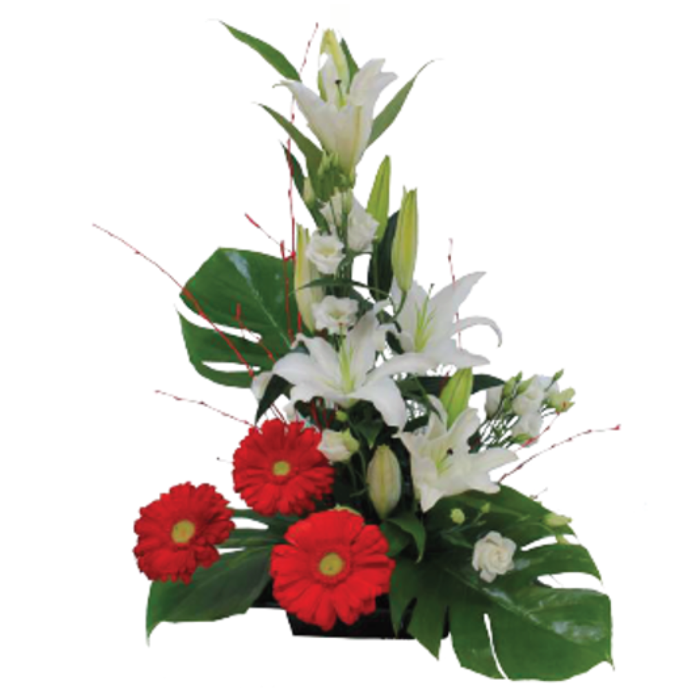 Centros de flores - F250