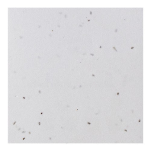 POSAVASOS GERMINA 140GR 1 CARA 100 FSC