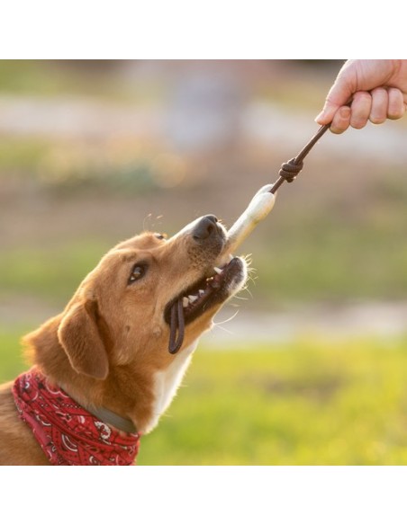 Mordedor Mascotas Salmer