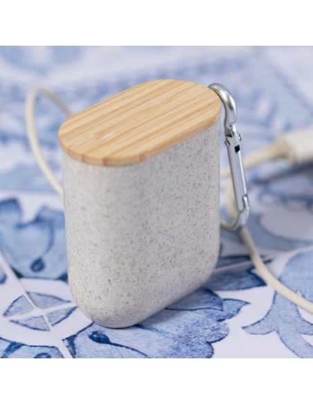 Cable Cargador Brayce