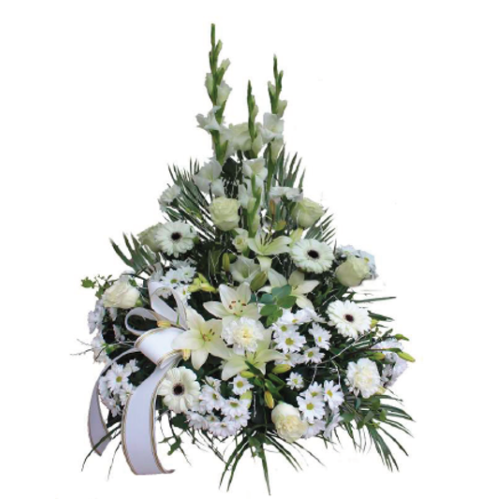 Centros funerarios - F920