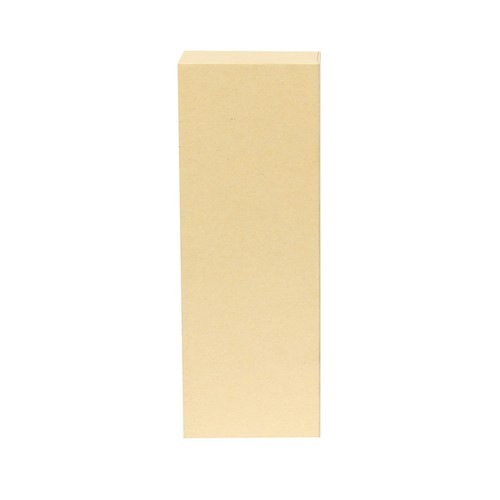 Puntero Láser Presentador Lesi