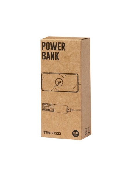 Power Bank Reneh