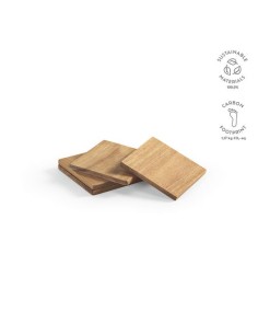 Velazquez Coasters 2