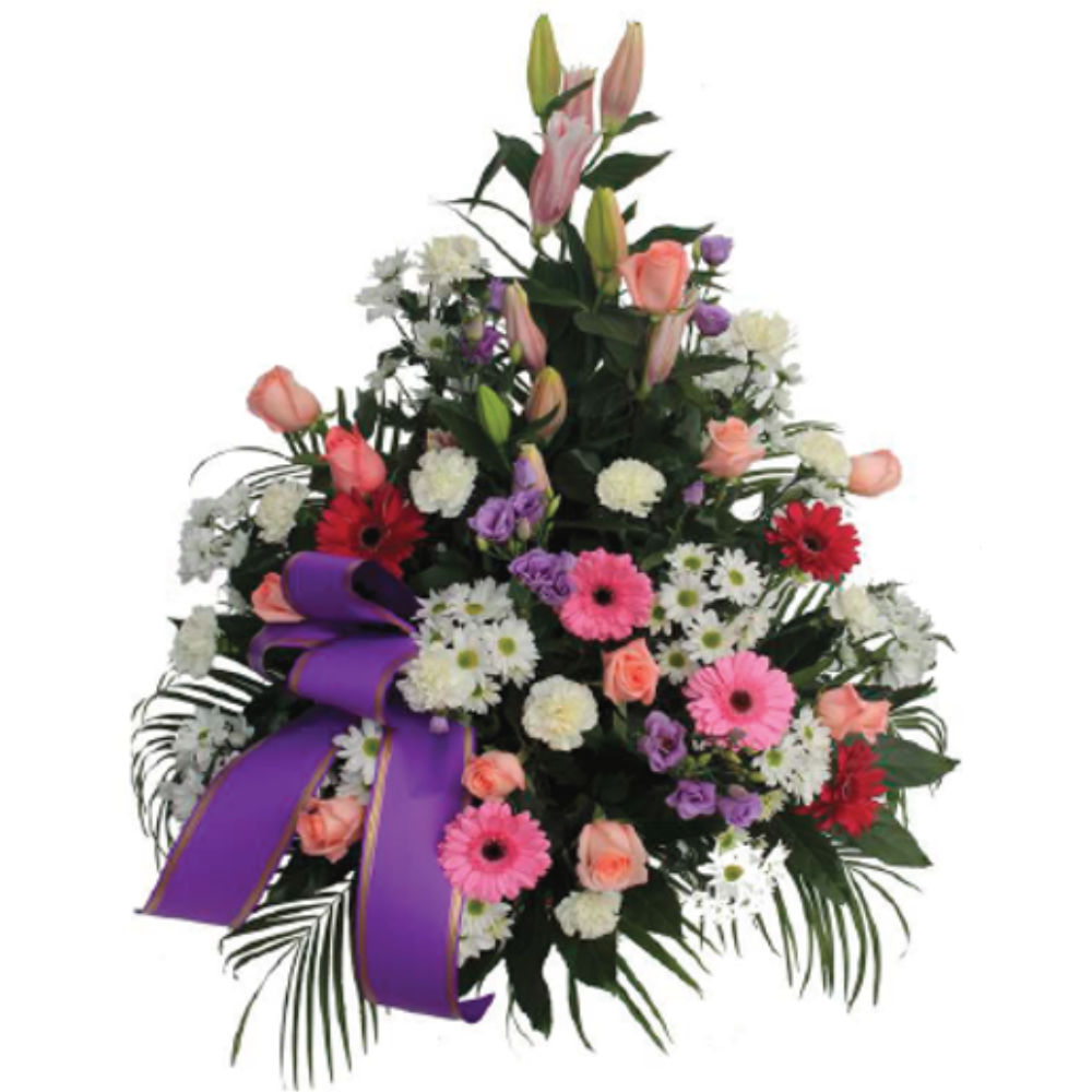 Centros funerarios - F925