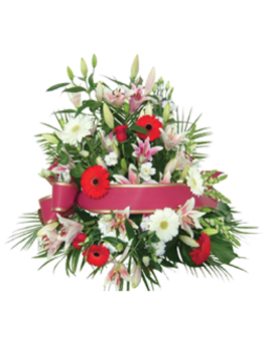 Centros funerarios - F935