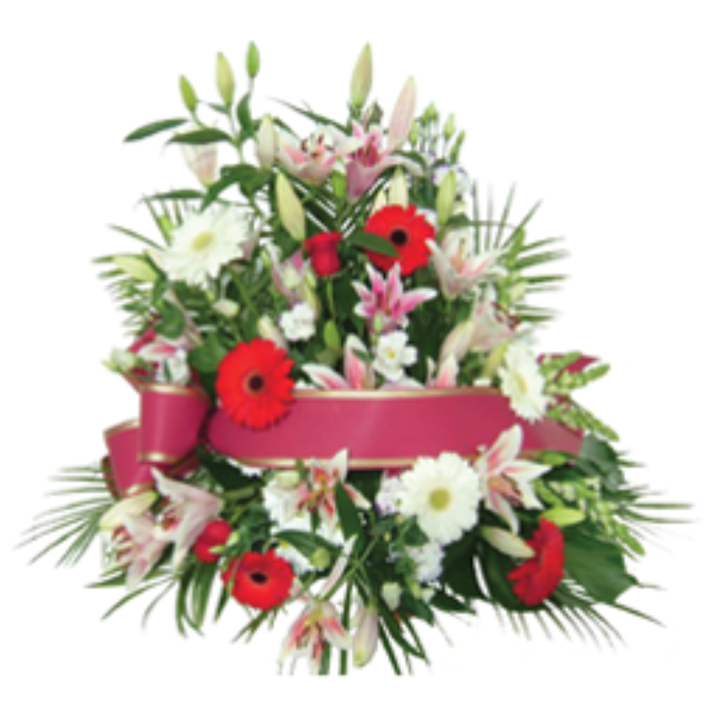 Centros funerarios - F935