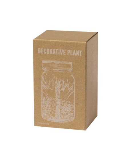 Planta Decorativa Kyala