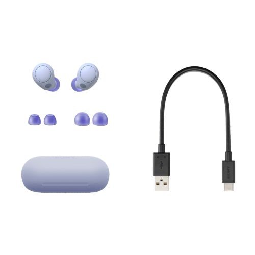 Auriculares Inalámbricos SONY WFC700N...