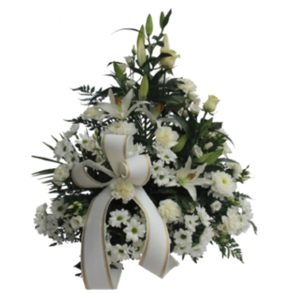 Centros funerarios - F945