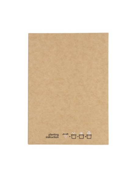 Postal Adorno Astrox