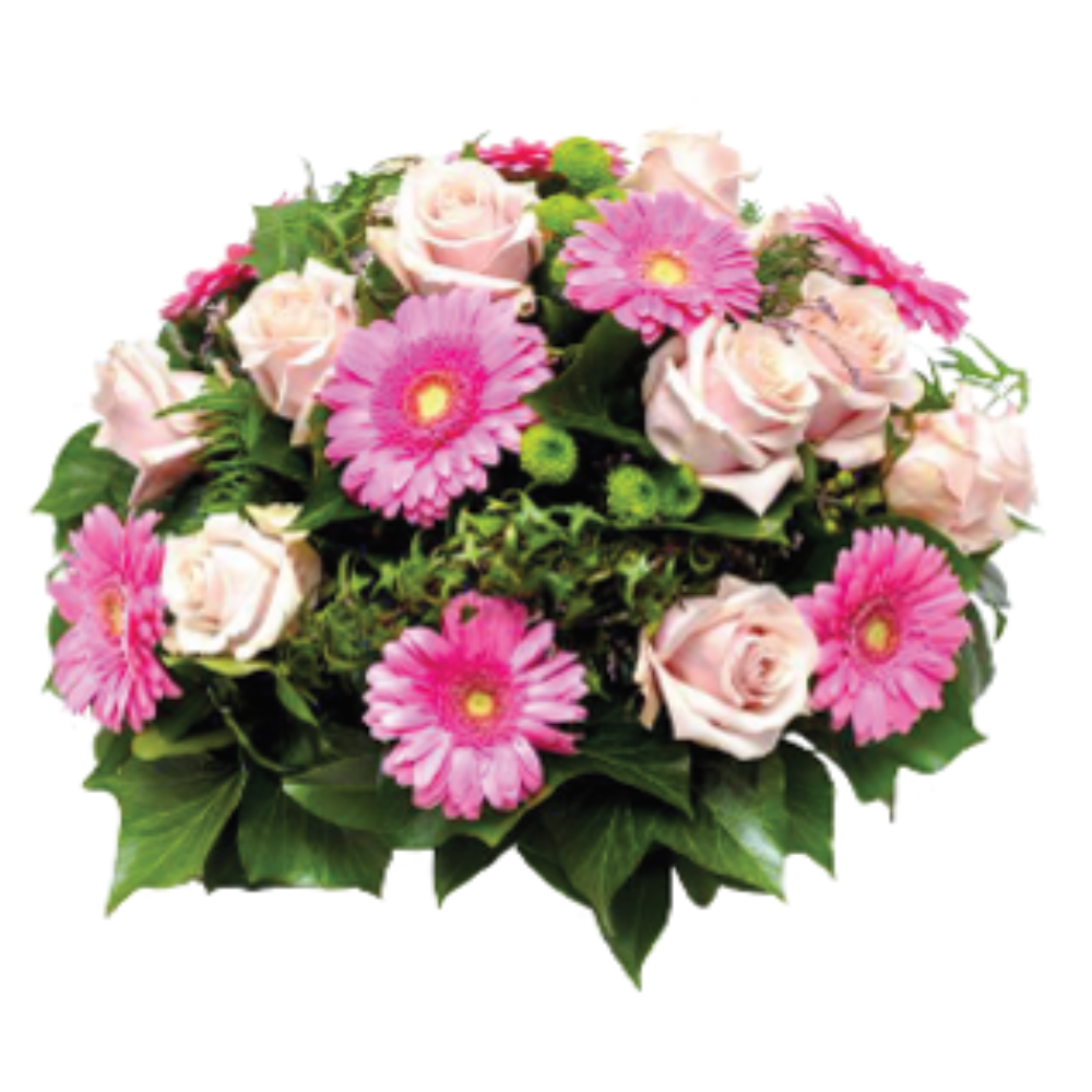 Centros funerarios - F950