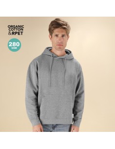 Sudadera Adulto con Capucha Dretius 2