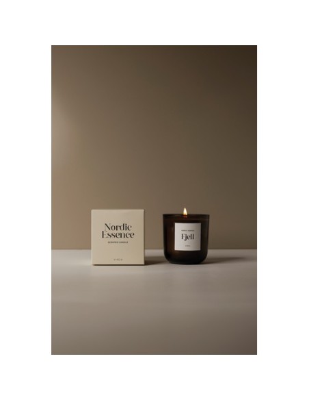 Vela grande VINGA perfumada esencia Nórdica