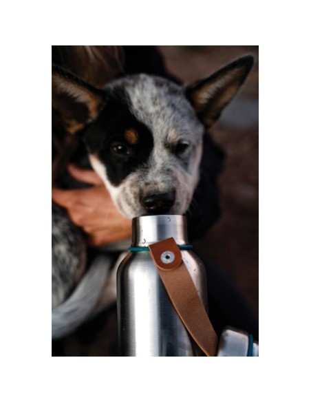 Botella de Agua BlackBlum Térmica Grande 750ml