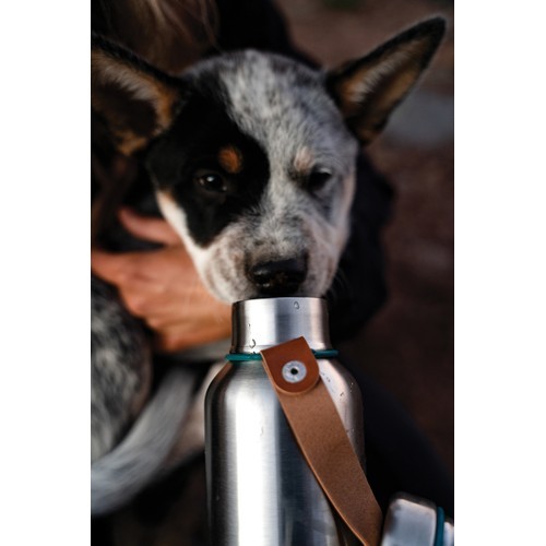 Botella de Agua BlackBlum Térmica...